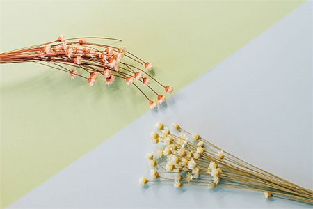 湖南招教考试笔试成绩差 面试能逆袭吗?